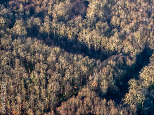 vue aérienne de la forêt en hiver à Dreux dans l'Eure-et-Loir en France photo