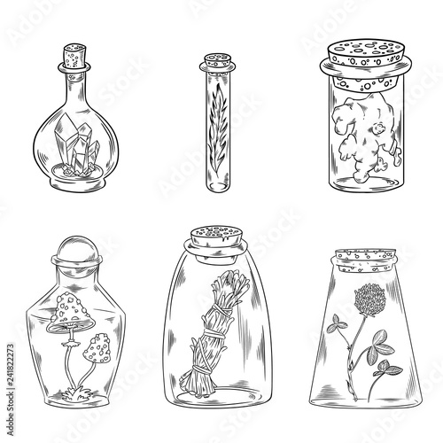 Boho bottles black and white doodles set. Vector image