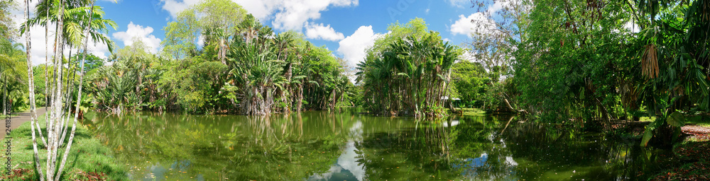 Tropical vegetation Mauritius island