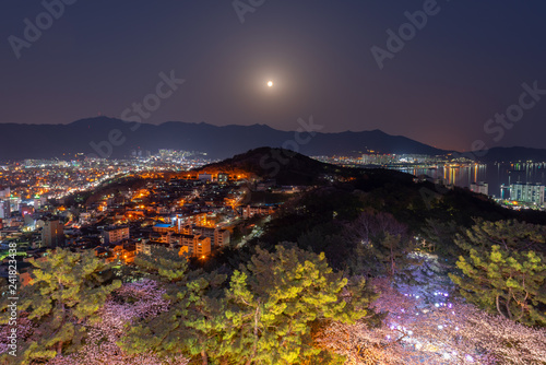 Jinhae City,South Korea photo