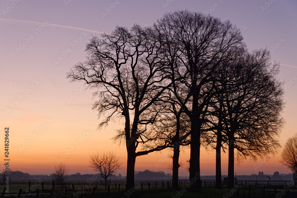 vor Sonnenaufgang vor Sonnenaufgang