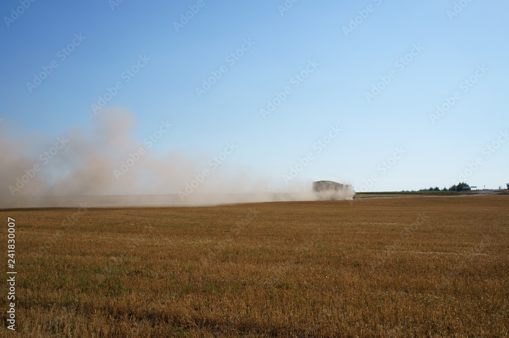 Fototapeta premium landscape with wheat field and blue sky