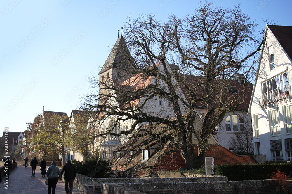 Fototapeta premium walking path way nearby the Danube river and state park of ancient Ulm old city wall, Germany, Baden-Württemberg, Travel destination advertisement backgrounds
