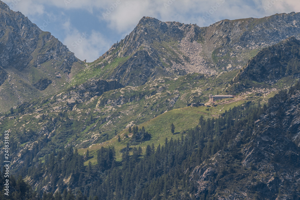 Obraz premium Mountain's landscape of the Alps
