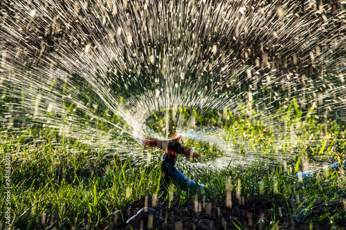 Splashing water to water the lawn as a background