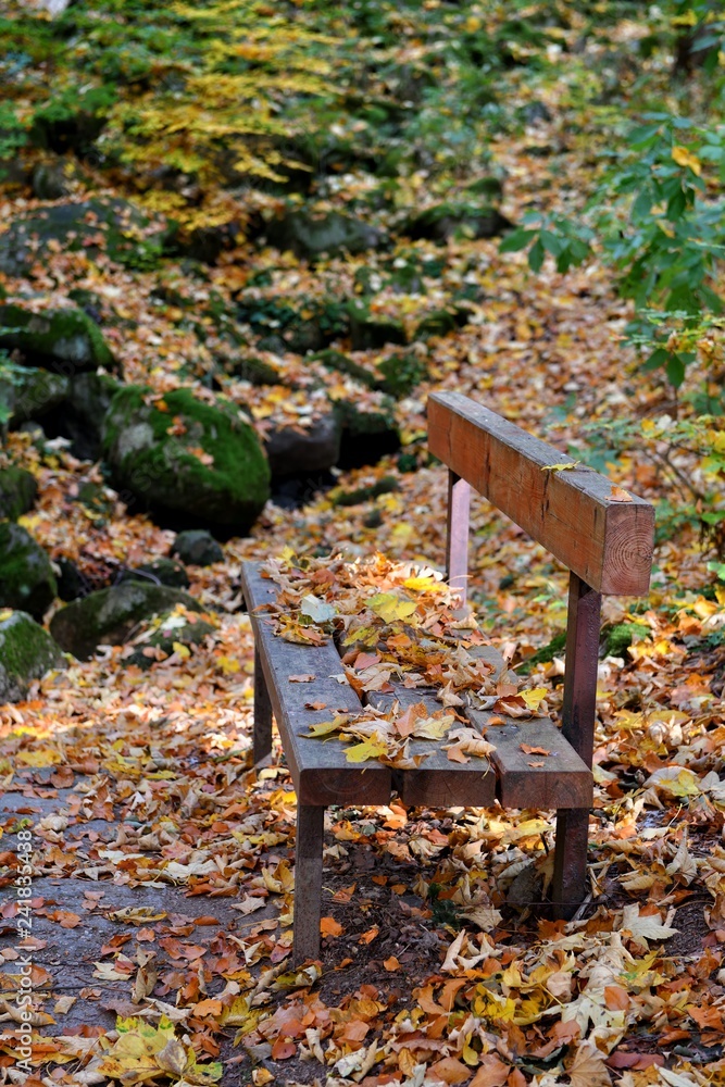 Old wooden bench on a forest path in a natural park near Marianske Lazne in Bohemia. Old wooden bench on a forest path in a natural park near Marianske Lazne in Bohemia.