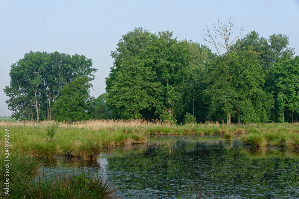 im Naturschutzgebiet Schwalm-Nette