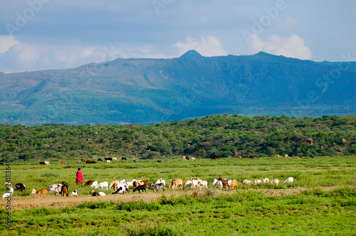 Goat Herder - Tanzania