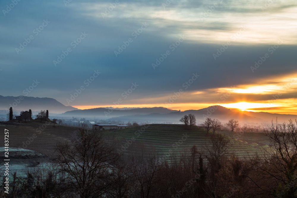 Obraz premium Cold misty morning in the vineyards of Italy