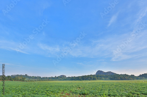 Beautiful cloud on blue sky in green field and mountains. Landscape scenery background. © zilvergolf