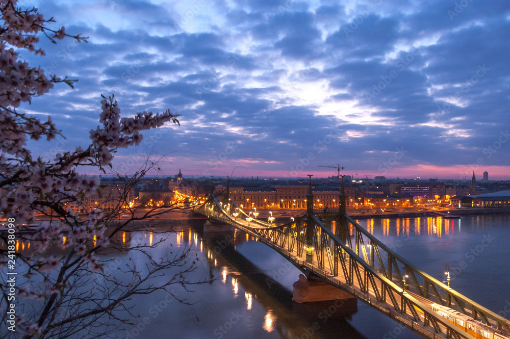 Freedom bridge Budapest