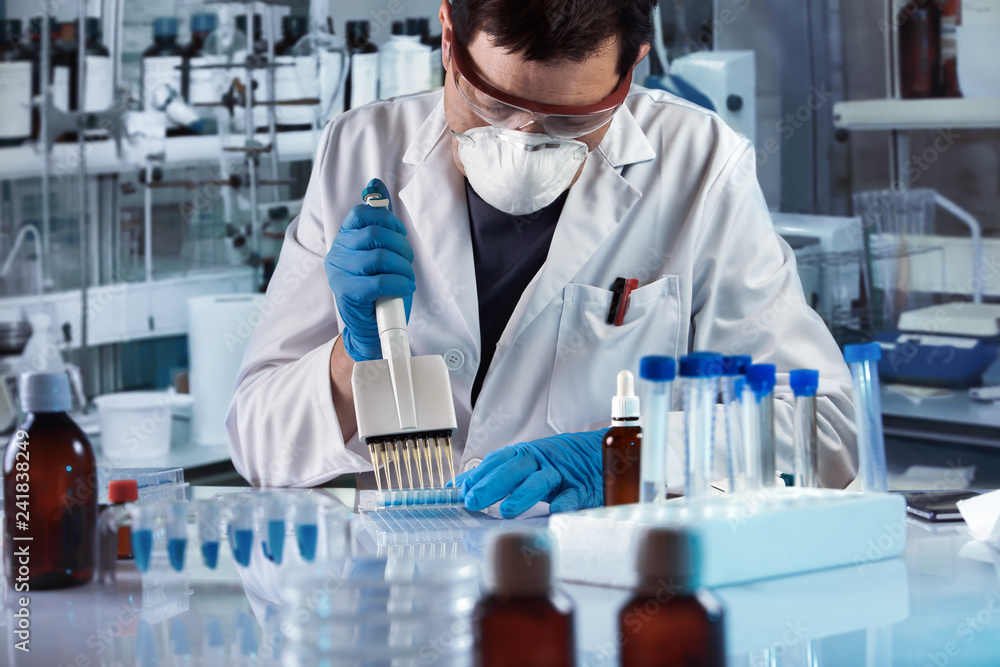 scientist working with multi well plate for cell culture in the lab / lab technician pipetting plate in the genetic laboratory scientist working with multi well plate for cell culture in the lab / lab technician pipetting plate in the genetic laboratory