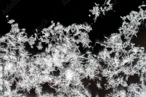 snowflakes close-up on black background