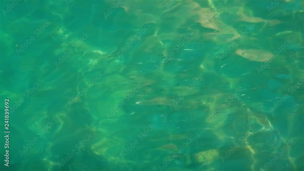 custom made wallpaper toronto digitalCrystal clear sea water. The bottom is visible through the light green water. Light ripples in the water. Abstract marine green background.