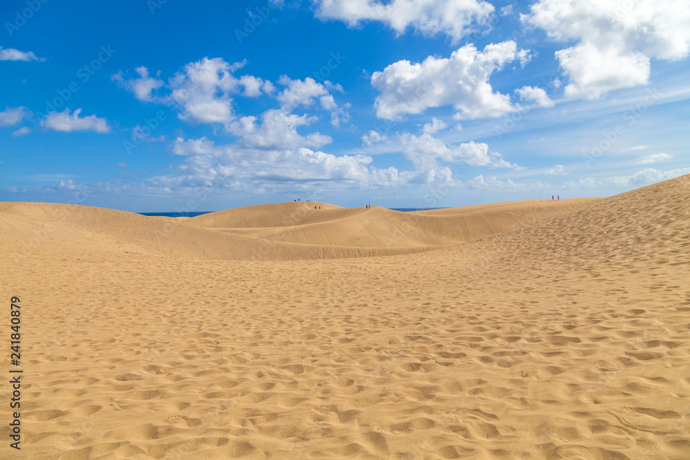 Maspalomas Las Dunas El Oasis, Natural Sand Dunes Reserve in Gra Maspalomas Las Dunas El Oasis, Natural Sand Dunes Reserve in Gra
