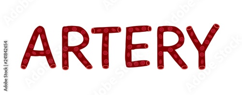 blood vessel / text vector / artery