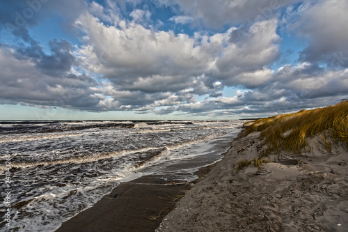 High tide on the Baltic coast  Darss peninsula 