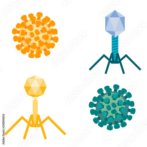 Flu virus and bacteriophages