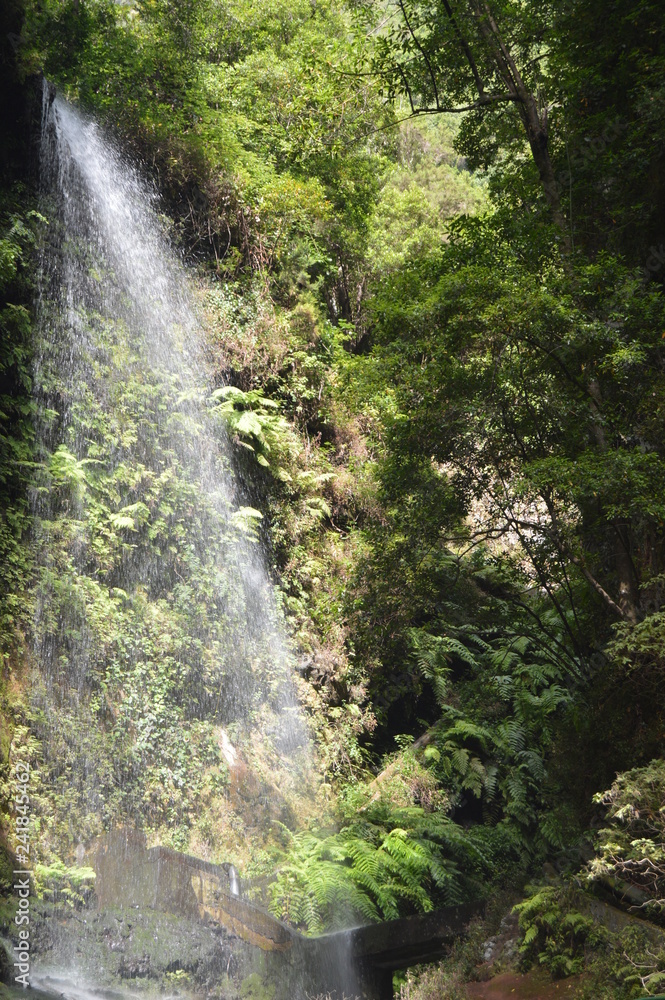 Wonderful Waterfall In The Forest Of Los Tilos On The Island Of La Palma. Travel, Nature, Holidays, Geology. July 8, 2015. Isla De La Palma Canary Islands Spain. Wonderful Waterfall In The Forest Of Los Tilos On The Island Of La Palma. Travel, Nature, Holidays, Geology. July 8, 2015. Isla De La Palma Canary Islands Spain.