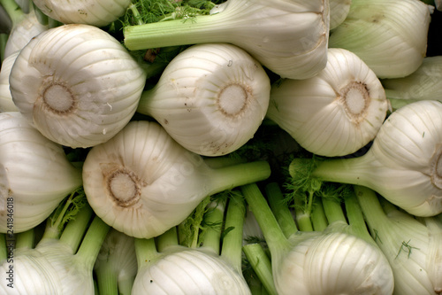 fennel,food, vegetable,healthy, organic, white,agriculture, market, raw, vegetarian,nutrition, bunch,