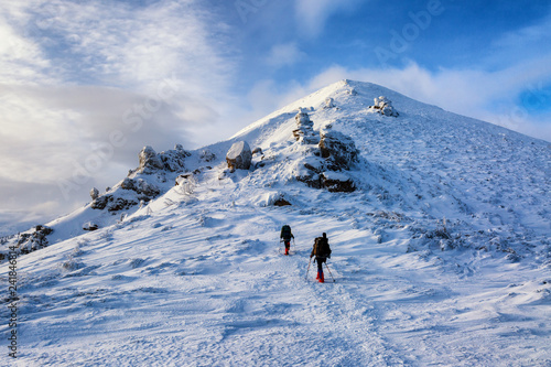 Hikers walking in snowy winter mountains at sun day in Carpathians, Chernogora, Ukraine