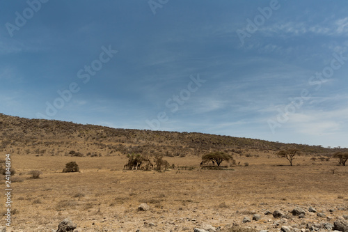 Serengeti - Tansania