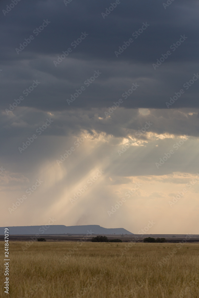 Regenwolken über der Serengeti