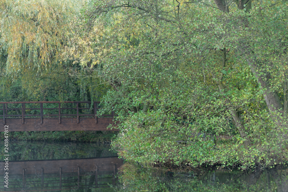 Obraz premium Wald am Wasser