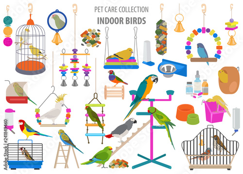 Pet appliance icon set flat style isolated on white. Birds care collection. Create own infographic about parrot, parakeet, canary, thrush, finch, jay bird, starling, amadina, siskin,  toucan, bunting