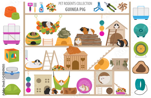 Pet rodents home accessories icon set flat style isolated on white. Healthcare collection. Create own infographic about guinea pig, rat, hamster, chinchilla, mouse, rabbit