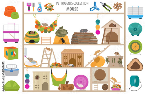 Pet rodents home accessories icon set flat style isolated on white. Healthcare collection. Create own infographic about guinea pig, rat, hamster, chinchilla, mouse, rabbit