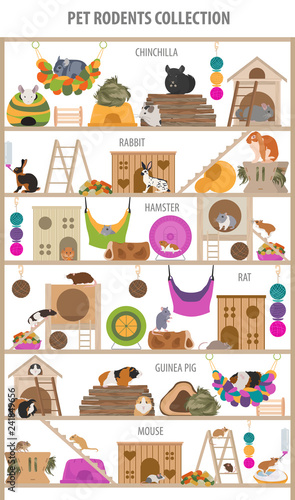 Pet rodents home accessories icon set flat style isolated on white. Healthcare collection. Create own infographic about guinea pig, rat, hamster, chinchilla, mouse, rabbit