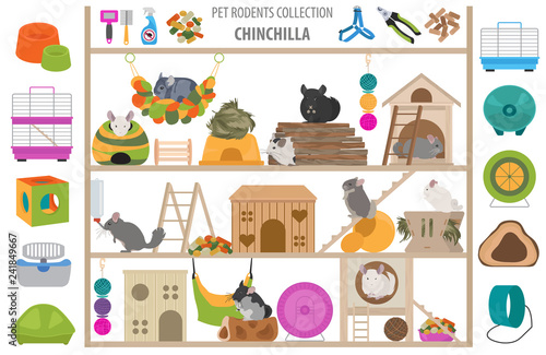 Pet rodents home accessories icon set flat style isolated on white. Healthcare collection. Create own infographic about guinea pig, rat, hamster, chinchilla, mouse, rabbit