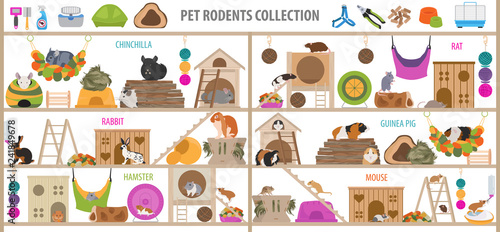 Pet rodents home accessories icon set flat style isolated on white. Healthcare collection. Create own infographic about guinea pig, rat, hamster, chinchilla, mouse, rabbit