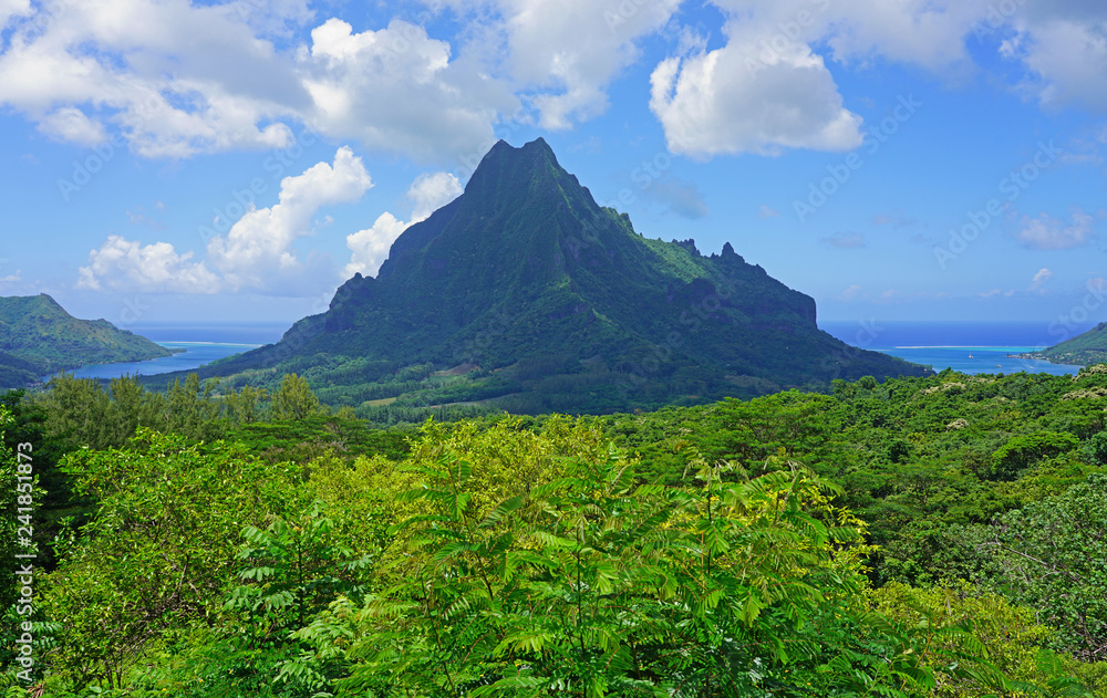 Landscape view overlooking Cook and Opunohu Bays in the island and lagoon of Moorea near Tahiti in French Polynesia, South Pacific, seen from the picturesque Belvedere Lookout Landscape view overlooking Cook and Opunohu Bays in the island and lagoon of Moorea near Tahiti in French Polynesia, South Pacific, seen from the picturesque Belvedere Lookout