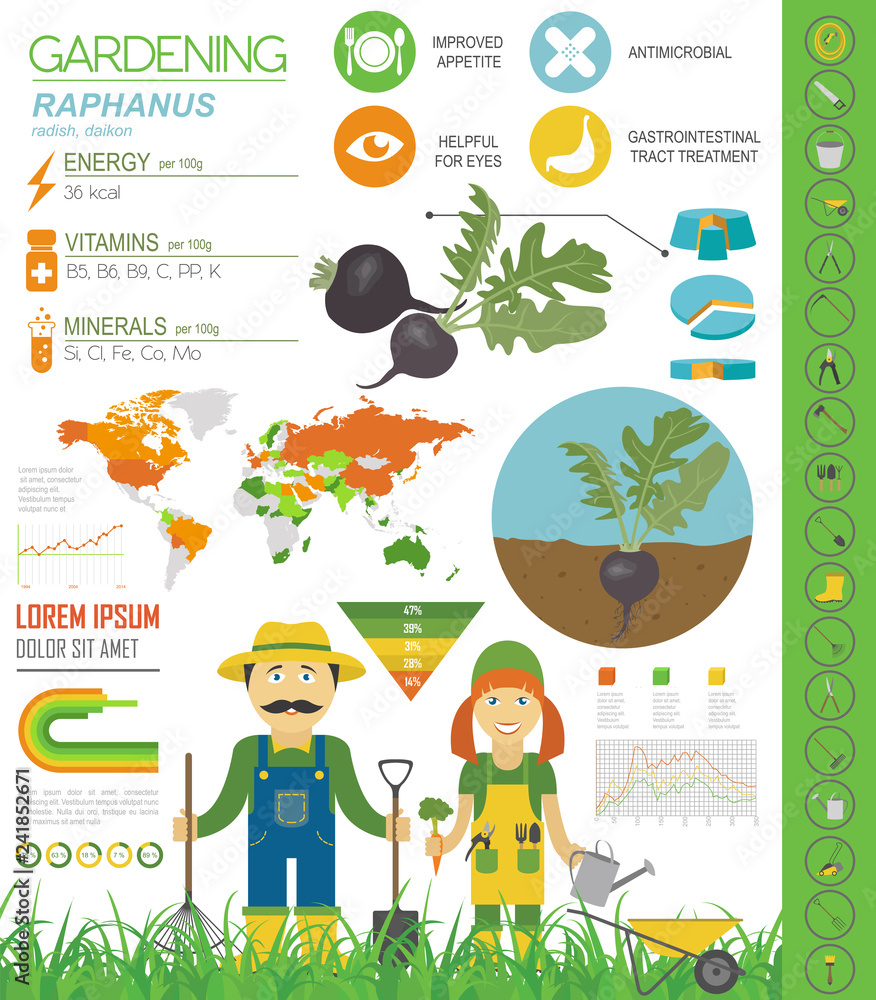 Fototapeta premium Gardening infographic new_30