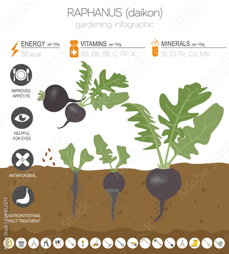 Gardening infographic new_119