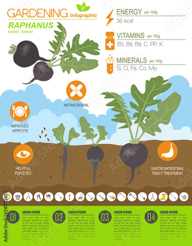 Gardening infographic new_30