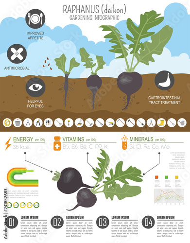 Gardening infographic new_30