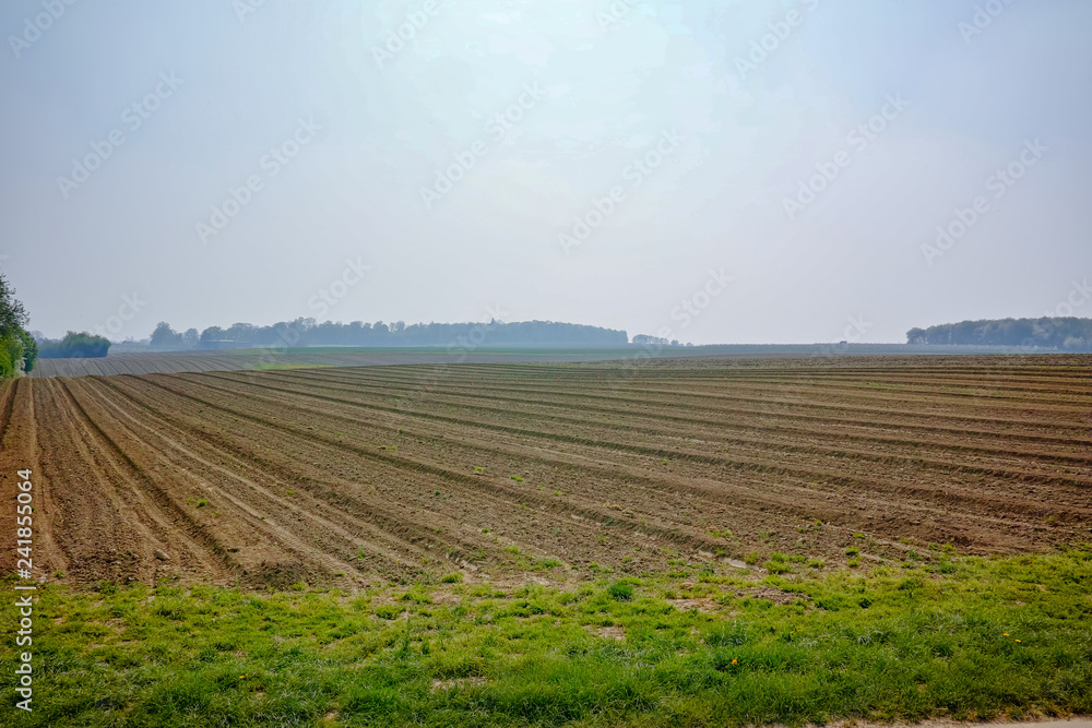 Spring fields countryside panorama landscape with fresh plowed field