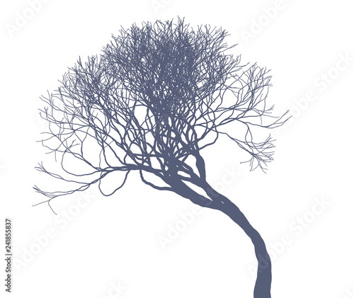 Naked tree silhouette on white background. Fine detailed realistic illustration. Isolated design element.