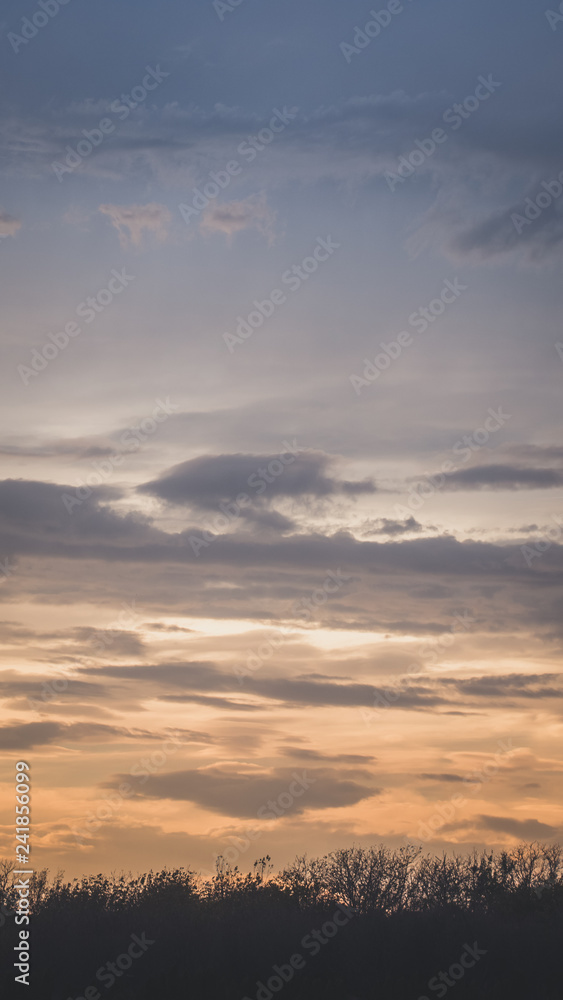 Clouds on sunset sky over trees line