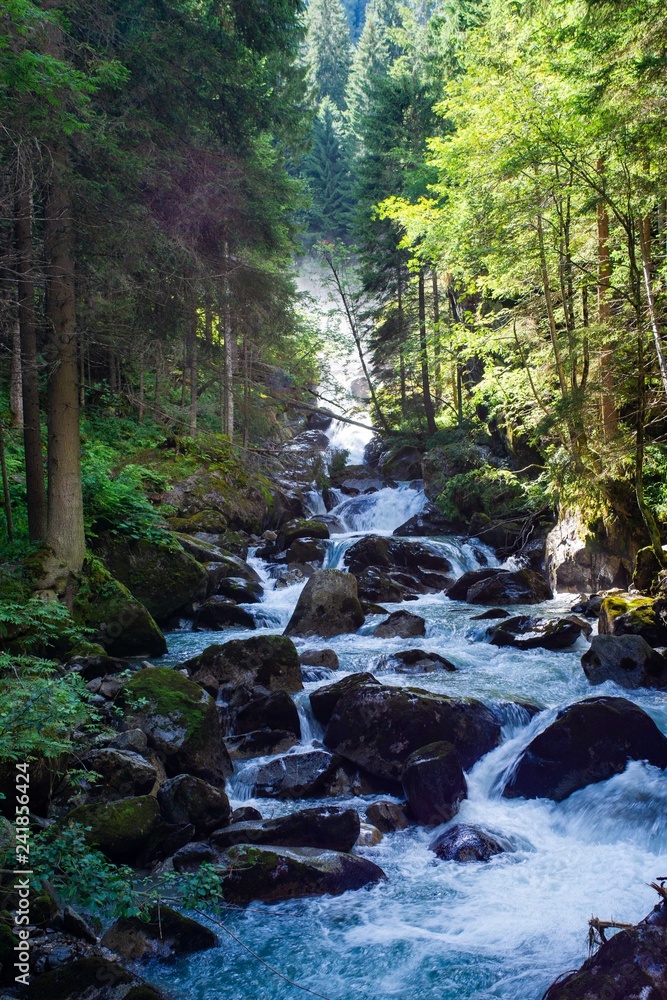 waterfall landscape forest in trentino with dolomiti mountain