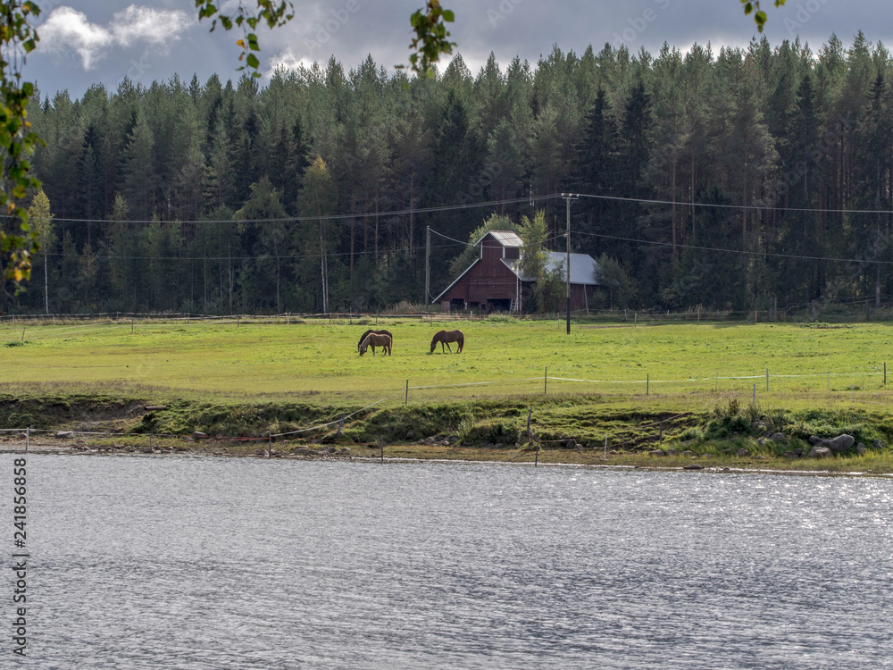 village, summer landscape in Finland ,Oulu