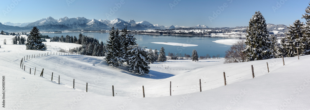 Obraz premium Panorama Winterlandschaft im Allgäu bei Füssen am Forggensee
