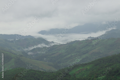 Foggy mountain after rainy, Nan province, Thailand. Soft and blur background