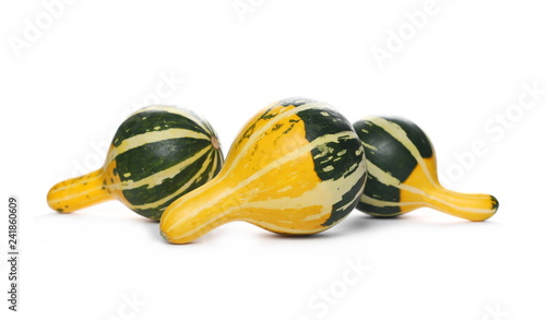 Decorative gourd yellow green isolated on white background
