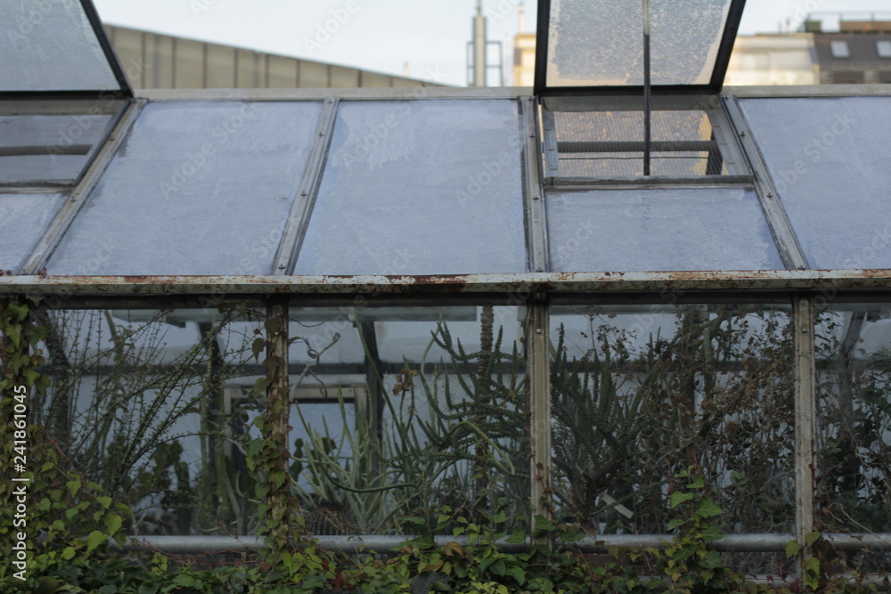 Obraz premium botanical garden vienna