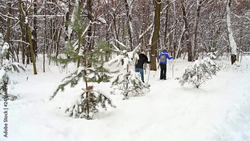 People Skiing In Winter Forest. People Skiing In Winter Forest.