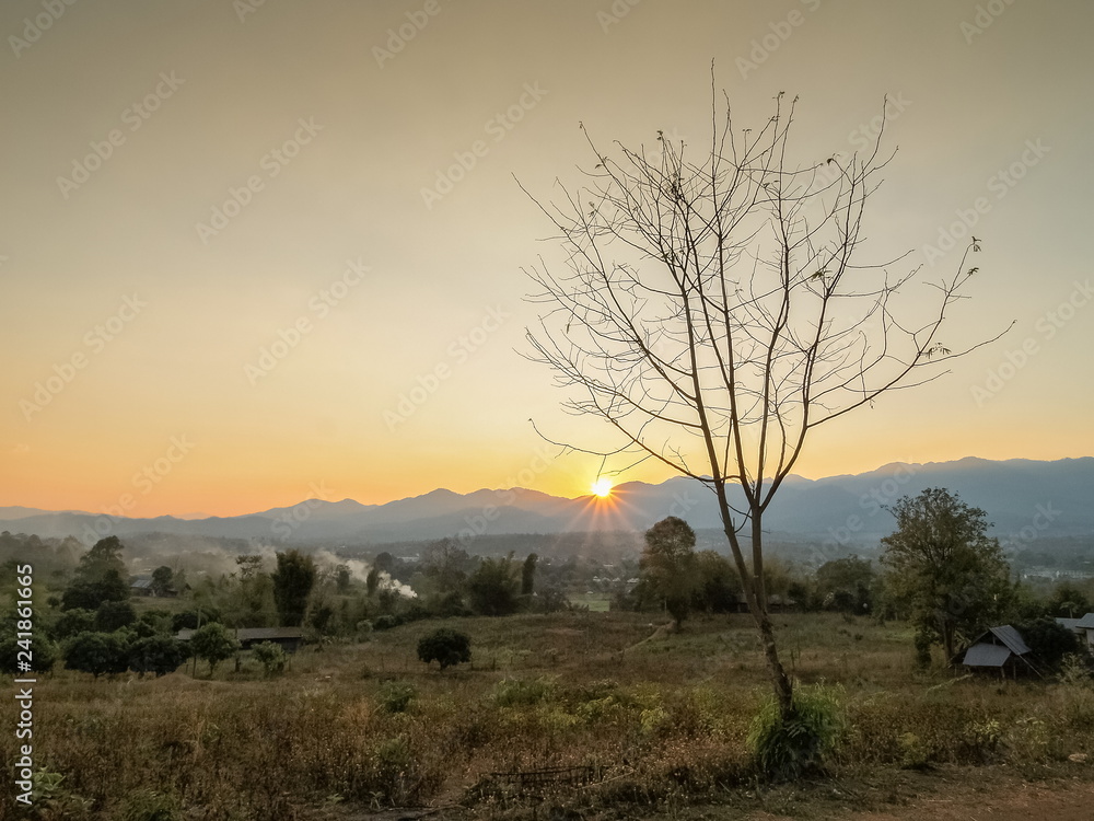 Silhouette of Dry Tree with mountain and yellow sun light in the sky background, sunset at Pai, Mae Hong Son, northern of Thailand.